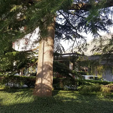 Civico 17 Apartment *